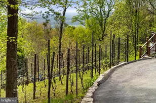 9831 Fox Rd, Frederick, MD 21702 - Photo 15
