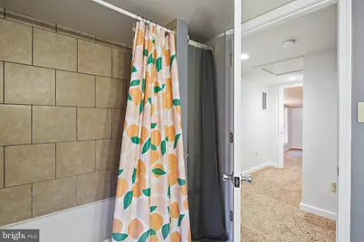 102 Woodsboro Creagerstown Road, Woodsboro, MD 21798 - Photo 19