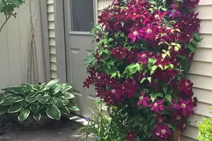 3006 Palatine Dr, Frederick, MD 21701 - Photo 37