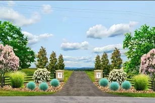 7461 Heritage Oak Terrace, Middletown, MD 21769 - Photo 5