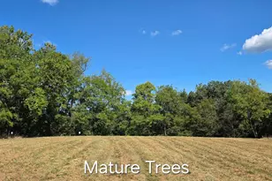 3150 Bidle Rd, Middletown, MD 21769 - Photo 7