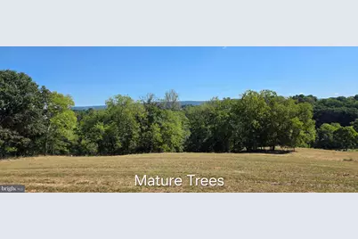 3120 Bidle Rd, Middletown, MD 21769 - Photo 7