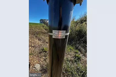 7192 Rosalees Walk, Frederick, MD 21701 - Photo 7