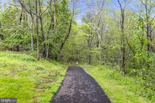 11030 Nicholas Pl, Ijamsville, MD 21754 - Photo 59