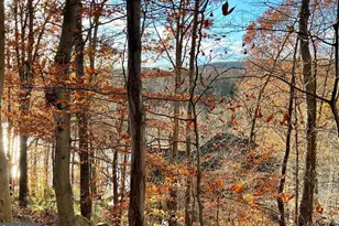 6705 W Lakeridge Rd, New Market, MD 21774 - Photo 87