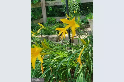 1589 Carey Place, Frederick, MD 21701 - Photo 33