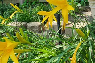 1589 Carey Pl, Frederick, MD 21701 - Photo 33