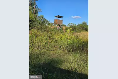 10543 Woodsboro Road, Woodsboro, MD 21798 - Photo 101