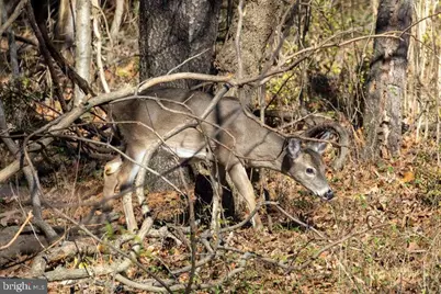 10543 Woodsboro Road, Woodsboro, MD 21798 - Photo 115