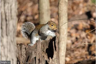 10543 Woodsboro Road, Woodsboro, MD 21798 - Photo 117