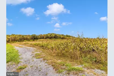 10543 Woodsboro Road, Woodsboro, MD 21798 - Photo 69