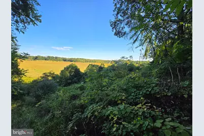 10543 Woodsboro Road, Woodsboro, MD 21798 - Photo 107