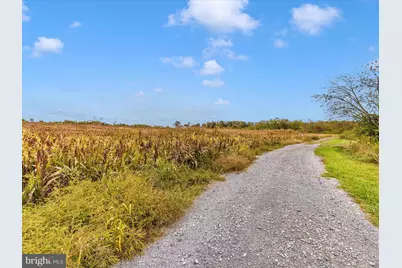 10543 Woodsboro Road, Woodsboro, MD 21798 - Photo 51