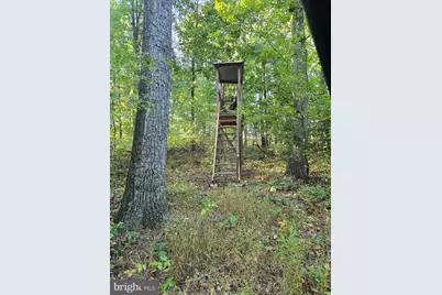 10543 Woodsboro Road, Woodsboro, MD 21798 - Photo 113