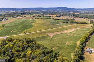 5916 Cloudberry Ct, Middletown, MD 21769 - Photo 11