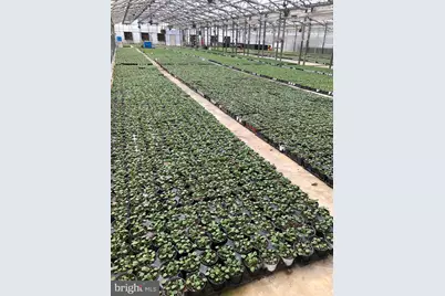 2730 Marker Road, Middletown, MD 21769 - Photo 53