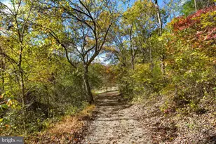 7144 Ira Sears Rd, Adamstown, MD 21710 - Photo 147