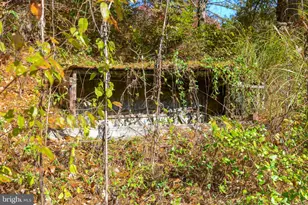 7144 Ira Sears Rd, Adamstown, MD 21710 - Photo 113