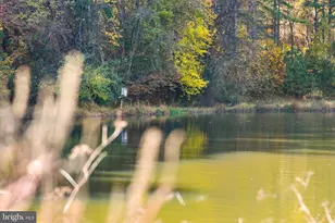 7144 Ira Sears Rd, Adamstown, MD 21710 - Photo 101