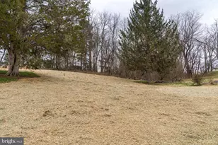 26 Walnut St, Middletown, MD 21769 - Photo 41