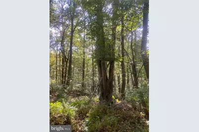 8939 Hawbottom Road, Middletown, MD 21769 - Photo 79