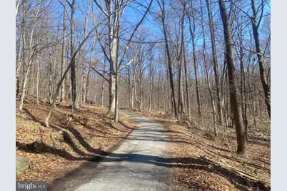 8939 Hawbottom Road, Middletown, MD 21769 - Photo 53