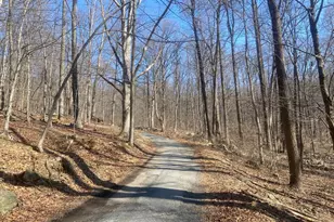 8939 Hawbottom Rd, Middletown, MD 21769 - Photo 53