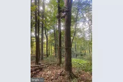 8939 Hawbottom Road, Middletown, MD 21769 - Photo 59