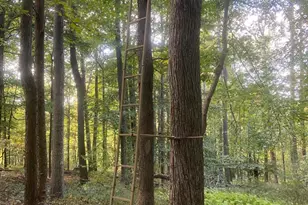 8939 Hawbottom Rd, Middletown, MD 21769 - Photo 59