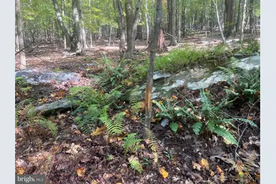 8939 Hawbottom Road, Middletown, MD 21769 - Photo 65