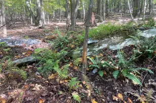 8939 Hawbottom Rd, Middletown, MD 21769 - Photo 65