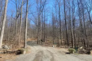 8939 Hawbottom Rd, Middletown, MD 21769 - Photo 63
