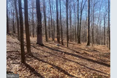 8939 Hawbottom Road, Middletown, MD 21769 - Photo 39