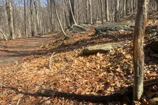 8939 Hawbottom Rd, Middletown, MD 21769 - Photo 45