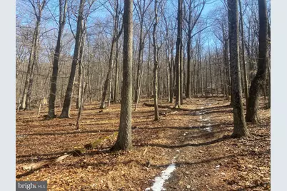 8939 Hawbottom Road, Middletown, MD 21769 - Photo 41