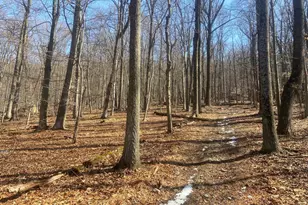 8939 Hawbottom Rd, Middletown, MD 21769 - Photo 41