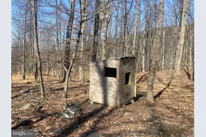 8939 Hawbottom Road, Middletown, MD 21769 - Photo 49