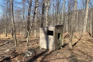 8939 Hawbottom Rd, Middletown, MD 21769 - Photo 49