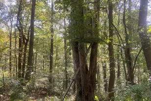 8939 Hawbottom Rd, Middletown, MD 21769 - Photo 67