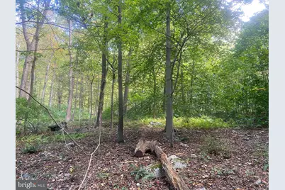 8939 Hawbottom Road, Middletown, MD 21769 - Photo 73