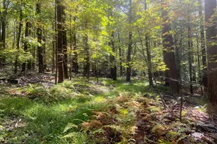 8939 Hawbottom Rd, Middletown, MD 21769 - Photo 63