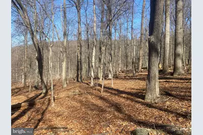 8939 Hawbottom Road, Middletown, MD 21769 - Photo 43