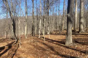 8939 Hawbottom Rd, Middletown, MD 21769 - Photo 43