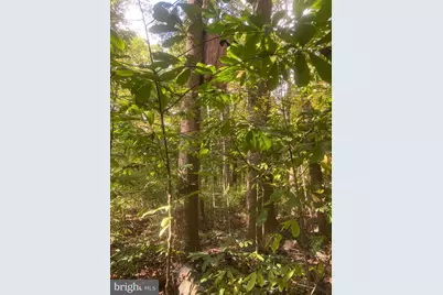 8939 Hawbottom Road, Middletown, MD 21769 - Photo 69