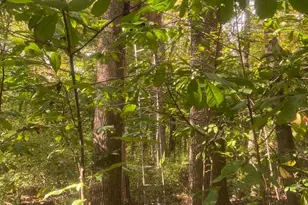 8939 Hawbottom Rd, Middletown, MD 21769 - Photo 69