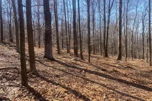 8939 Hawbottom Rd, Middletown, MD 21769 - Photo 51