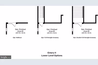 Tbb Enfield Farm Lane #EMORY II, Brunswick, MD 21716 - Photo 47