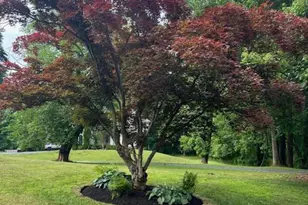 245 E 6th St, Frederick, MD 21701 - Photo 1