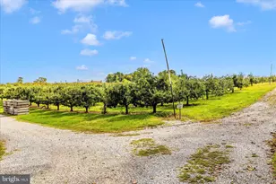 13839 Pryor Rd, Thurmont, MD 21788 - Photo 65