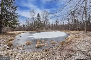 16834 Buck Lantz Rd, Sabillasville, MD 21780 - Photo 75